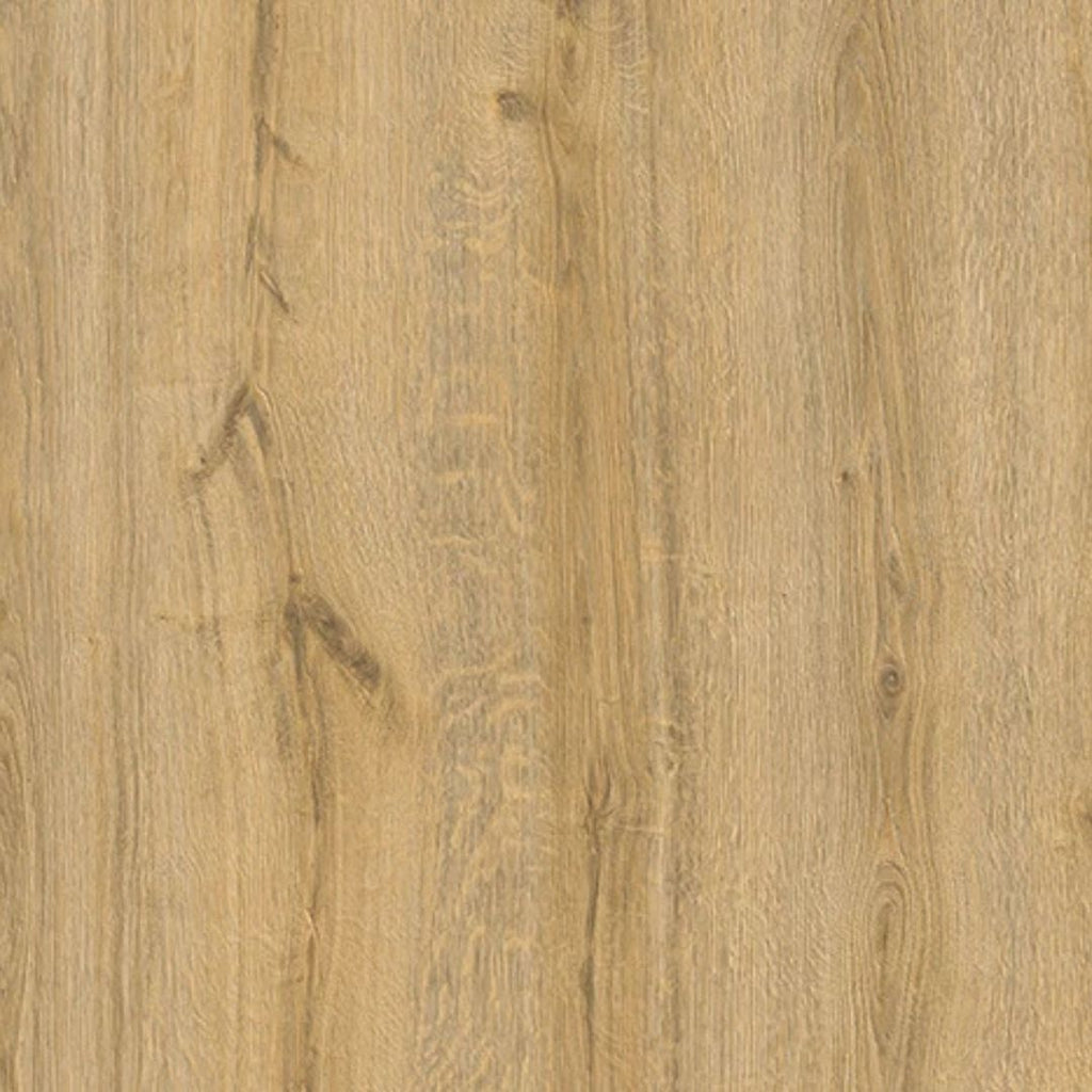 Acacia