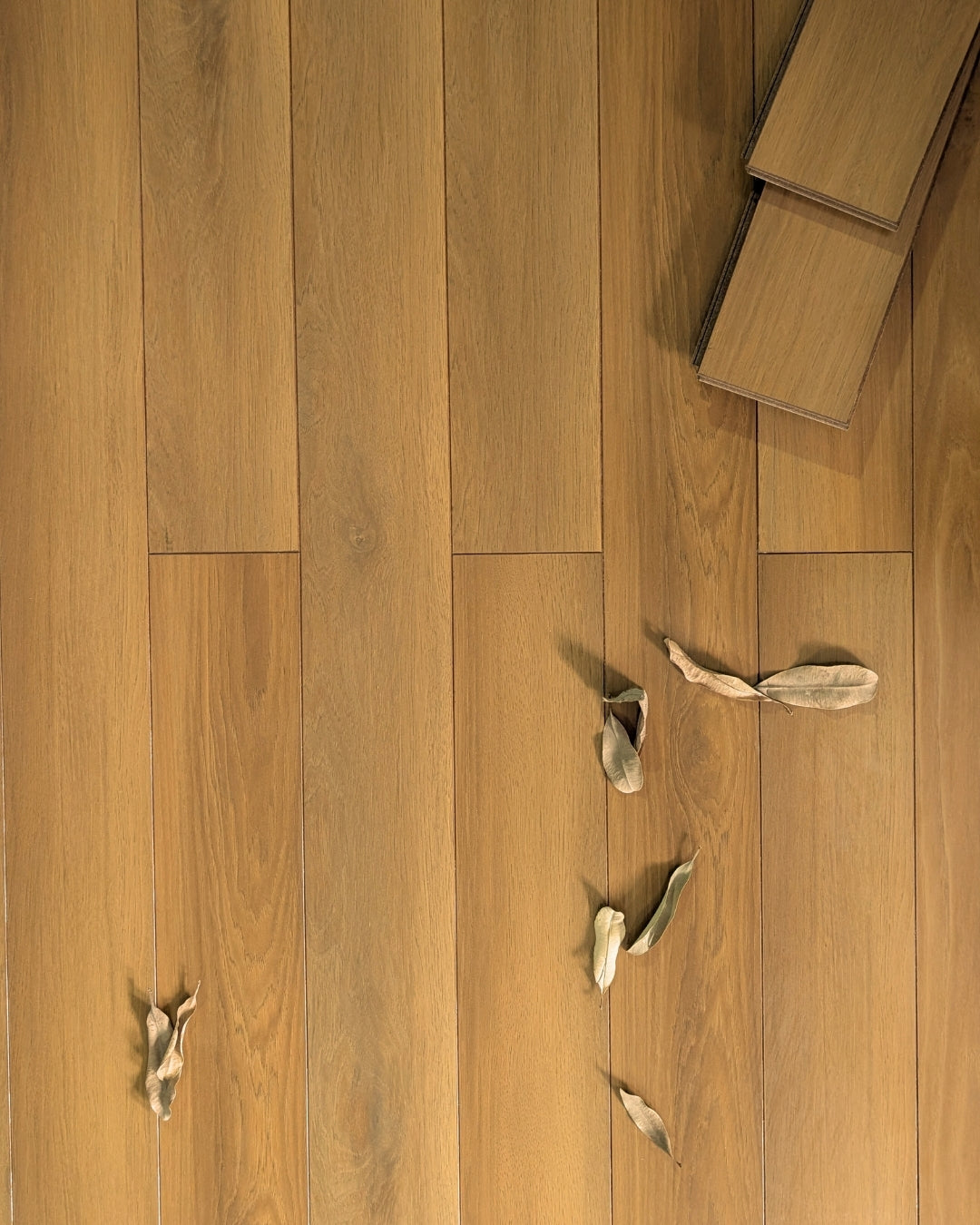 Polished  Ash Wood
