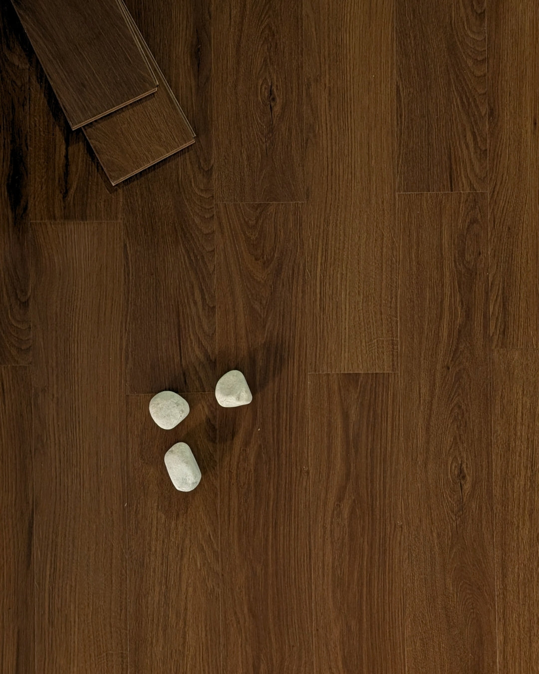 Polished Aframosia